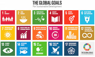The seventeen global goals