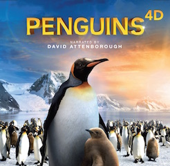 Penguins 4D is among the programs shown at the Discovery Cube.