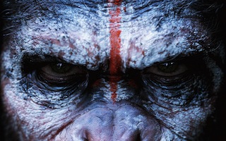 Dawn of Planet of the Apes was shot in Native 3D.